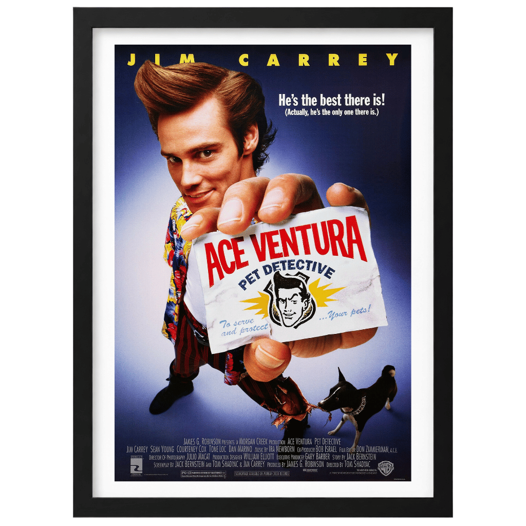 El Detective de Mascotas (1994)